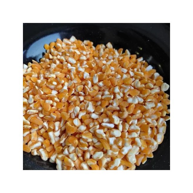 NON GMO Yellow Corn for animal feed at best price available