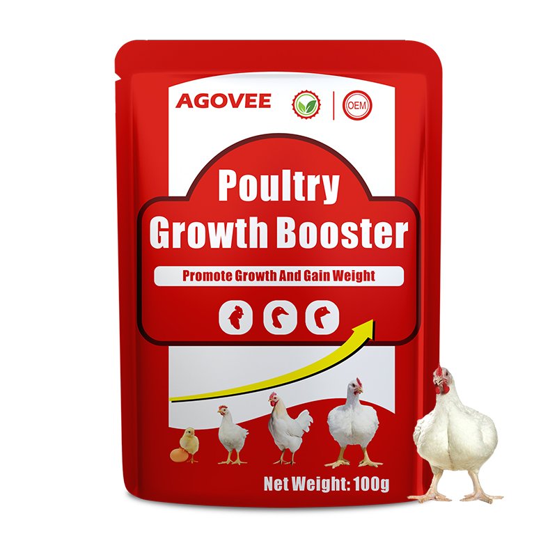 OEM Private label Broiler Chick promote growth feed additives Broiler growth booster Pigeons Poultry Growth Promoter food ODM