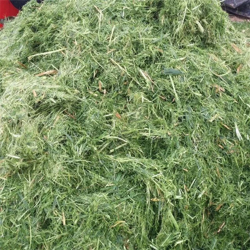 Grass cutter corn silage forage harvester corn straw crusher stalk cutter and collector for animal feed