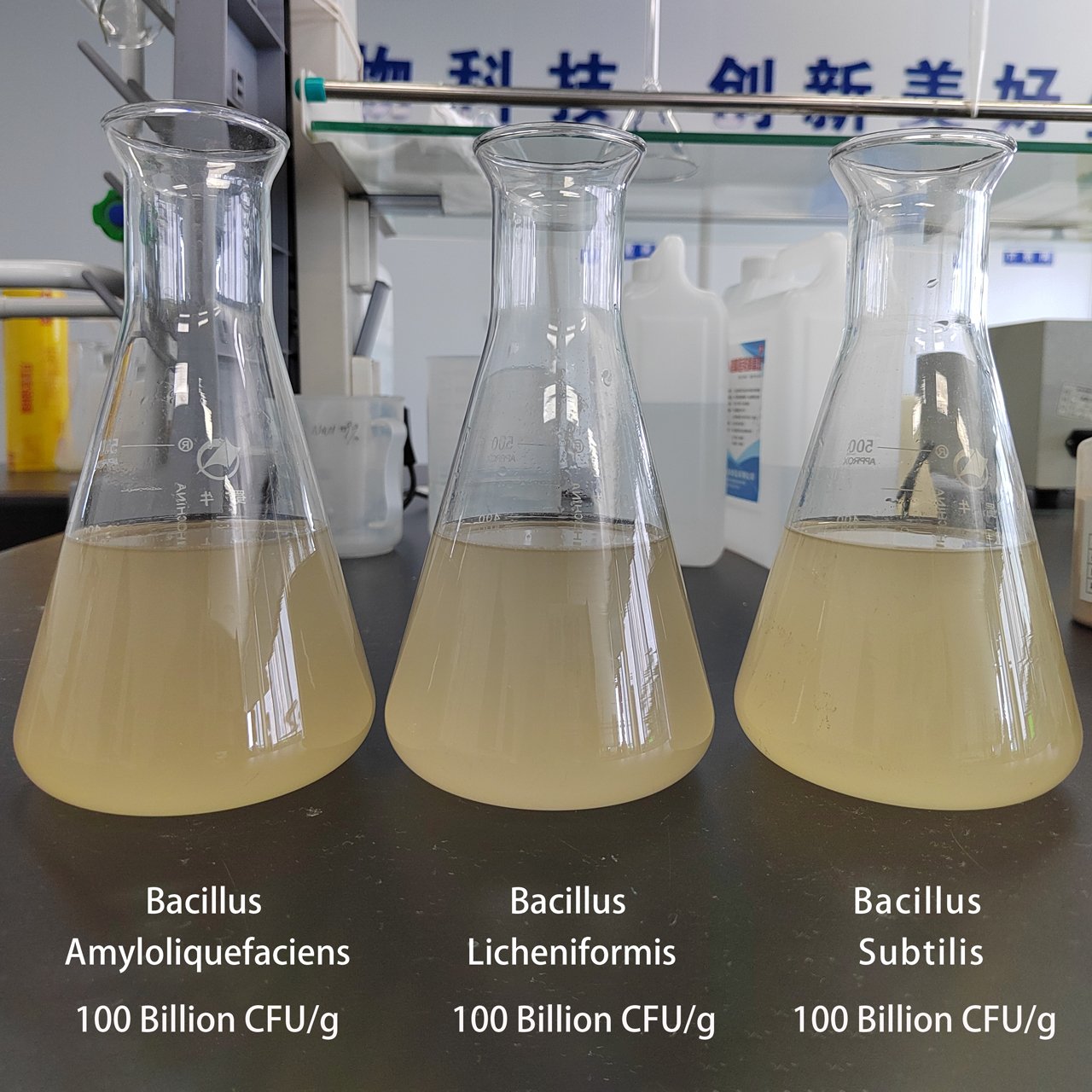 Powder Probiotics Feed Additives Bucillus Subtilis For Animal High Quality With Best Price Promote digestion