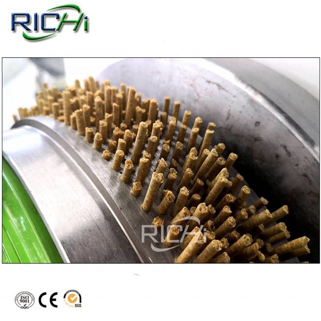 RICHI Stainless Steel 1-2 T/H Grass Peanut Shell Maize Animal Feed Pellet Machine Price