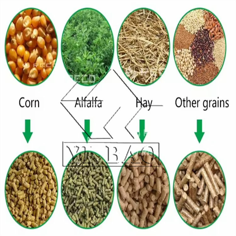 Multiple models suitable for various occasions livestock horse cow goat sheep animal feed pellet machine for farms
