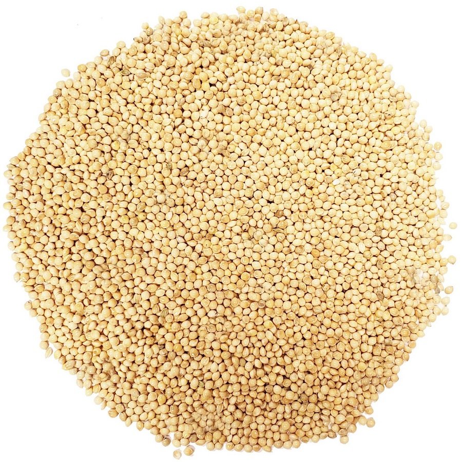 Buy Organic Yellow Millet Animal Feed New Crop Non-Glutinous For Food Grade Manufacture in India For Sale By Exporters
