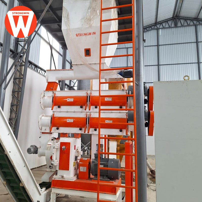 automatic 2-3TPH animal feed pellet machine poultry livestock chicken feed mill plant machinery rabbit