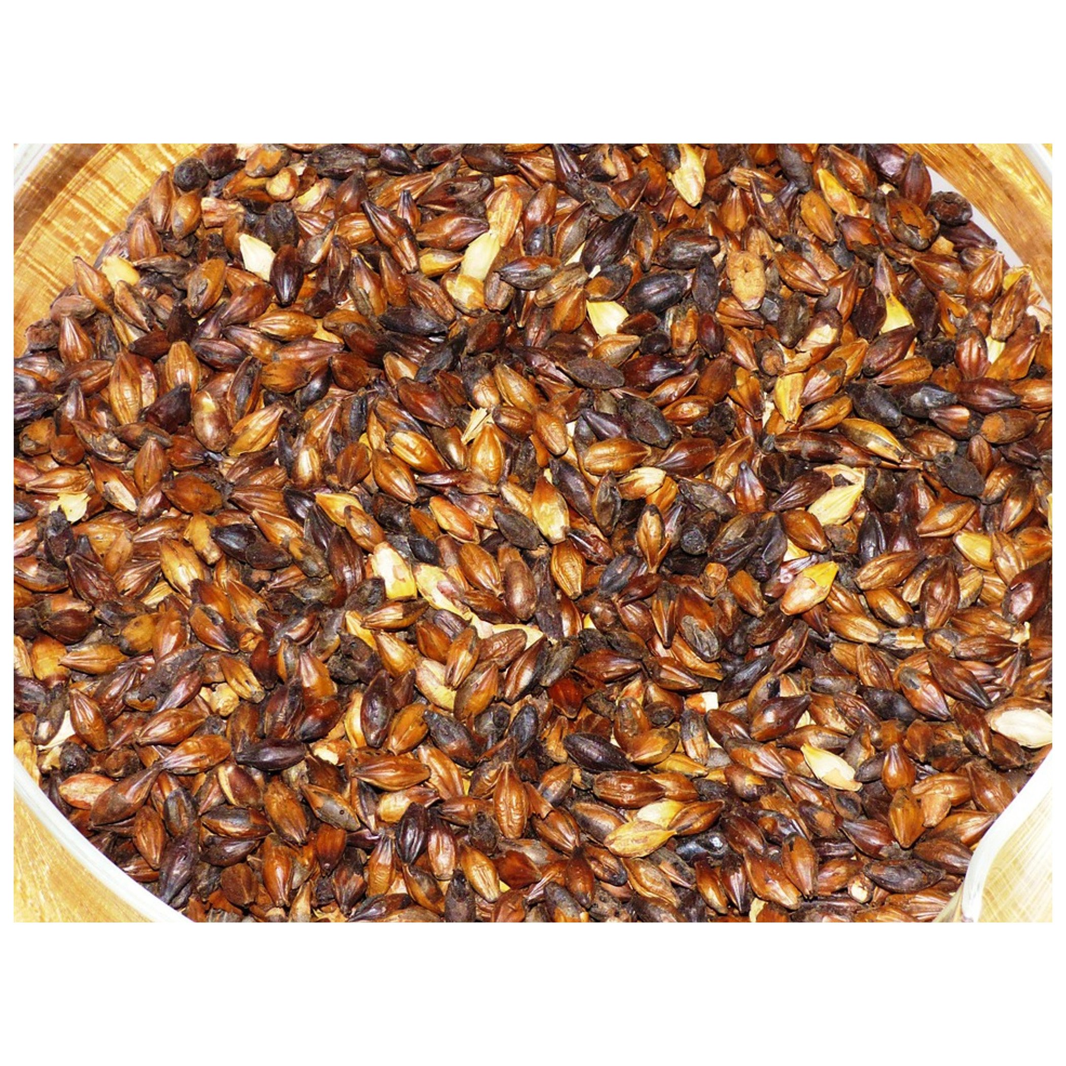 Barley Grains Premium Barley Seeds/Animal feed barley/bulk barley grains Malted Barley Malt grain for sale