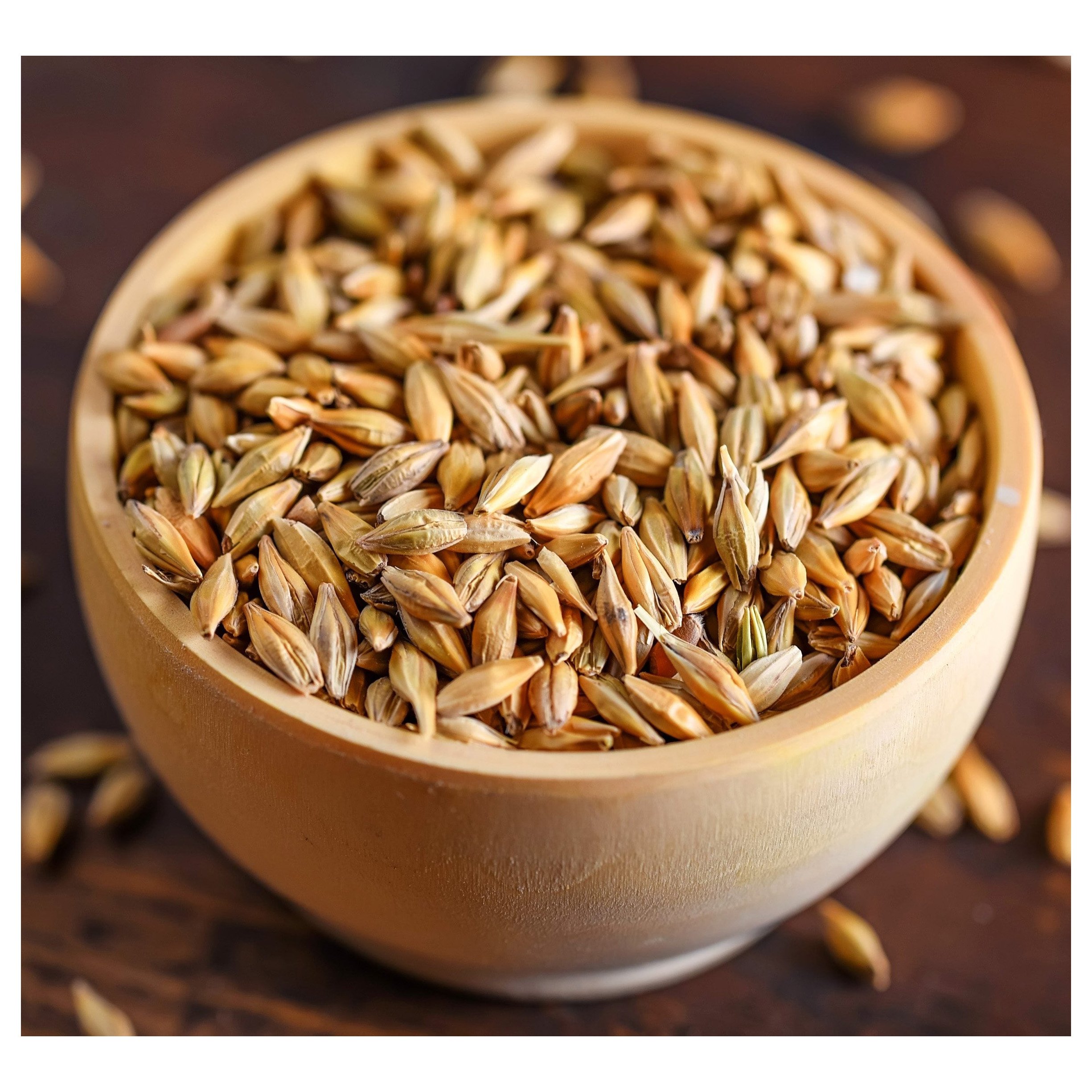 Barley Grains Premium Barley Seeds/Animal feed barley/bulk barley grains Malted Barley Malt grain for sale