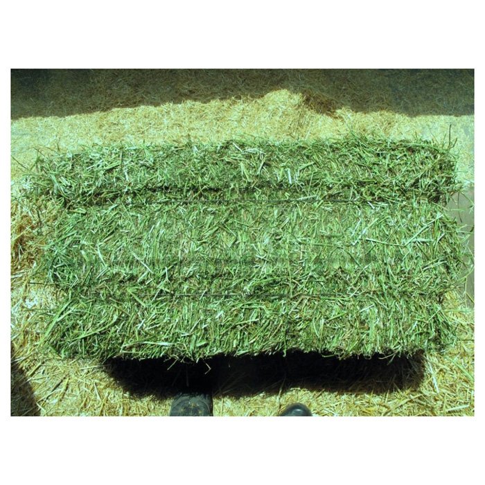 Feed Grade American Alfalfa Hay Timothy Hay Cattle Horse Pets Sheep 500g Sample Alfafa Hay for Animal Feeding