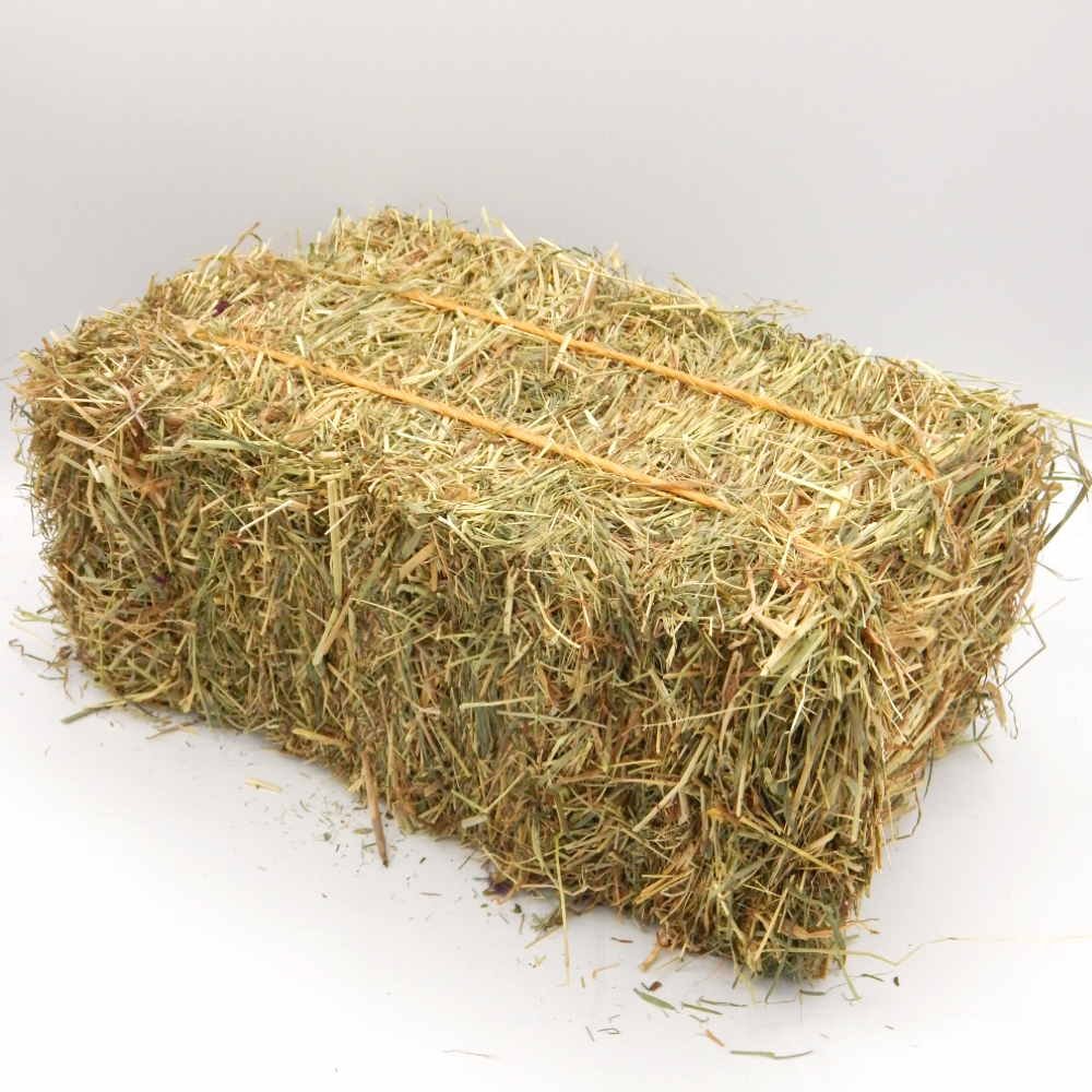 Alfafa Hay Animal Feeding Stuff Alfalfa, hay/alfalfa hay pellets Timothy Hay/ Alfafa in Bales Best Super Top Quality