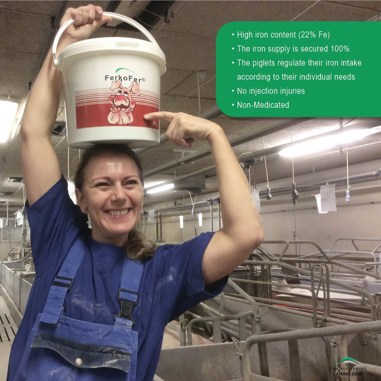 Ferkofer Complementary Feed with a High Content of Iron Exploits the Innate Rooting Behaviour to Prevent Anemia in Piglets 5kg
