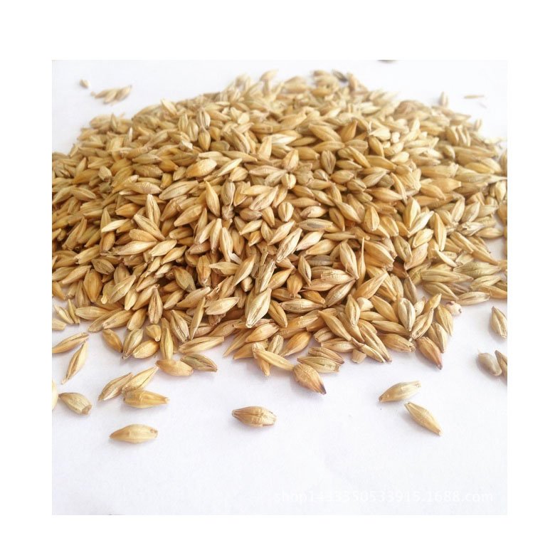Organic First Grade Animal Feed Barley Natural Dried Hay for Pig Cattle Horse Wholesome Grain in 50 Kg Bag