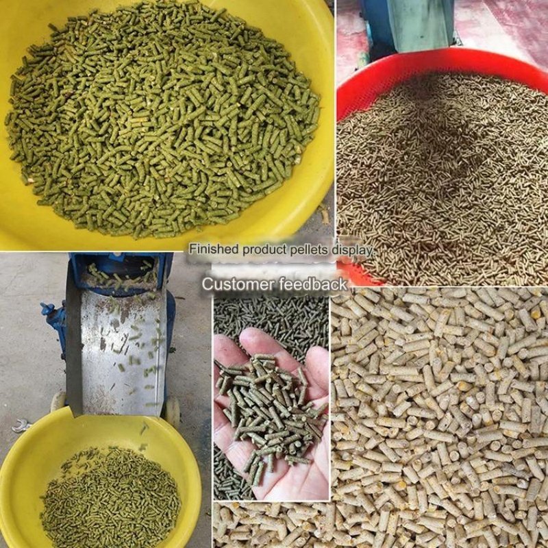 Agricultural equipment animal feed processing machinery for chicken farm forage chicken feed pellet machine feed granulator