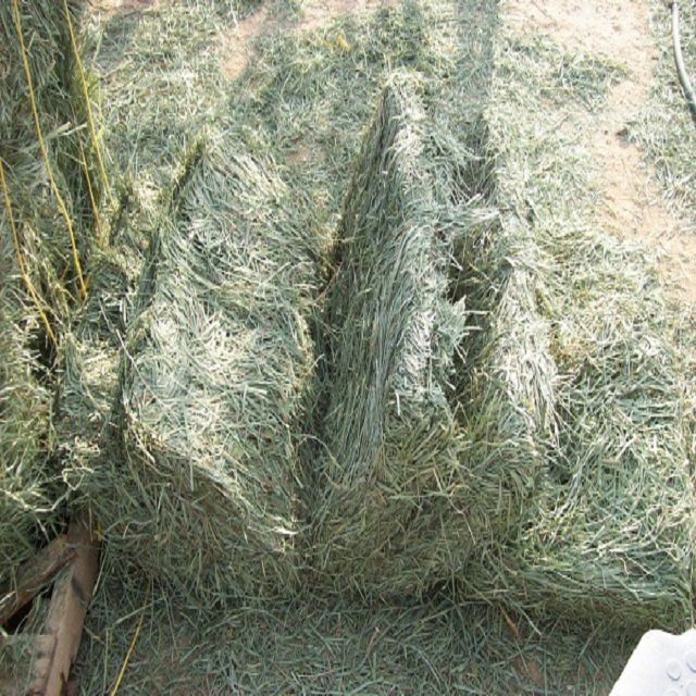 Buy Organic Alfalfa Grass Hay in Netherlands/ Alfalfa Hay Pellets For Animal Feed For Sale Bulk ready for export worldwide