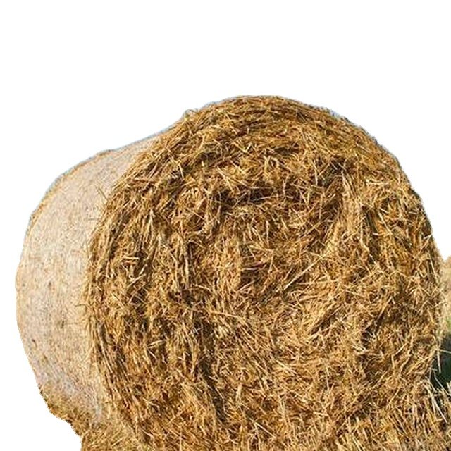 Cattle Feed Wheat Straw hay bales Forage for KSA/ Wheat Straw for sale Top Quality hay for animal feeding