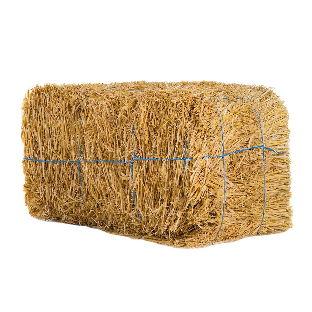 Cattle Feed Wheat Straw hay bales Forage for KSA/ Wheat Straw for sale Top Quality hay for animal feeding