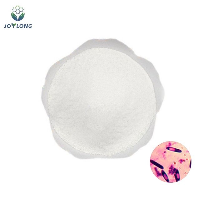 Super Quality Feed Additive Clostridium Butyricum Probiotics Powder for Animal