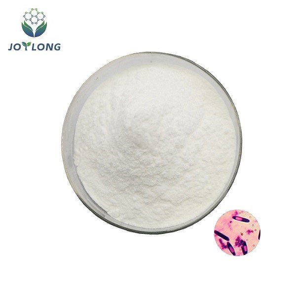 Super Quality Feed Additive Clostridium Butyricum Probiotics Powder for Animal