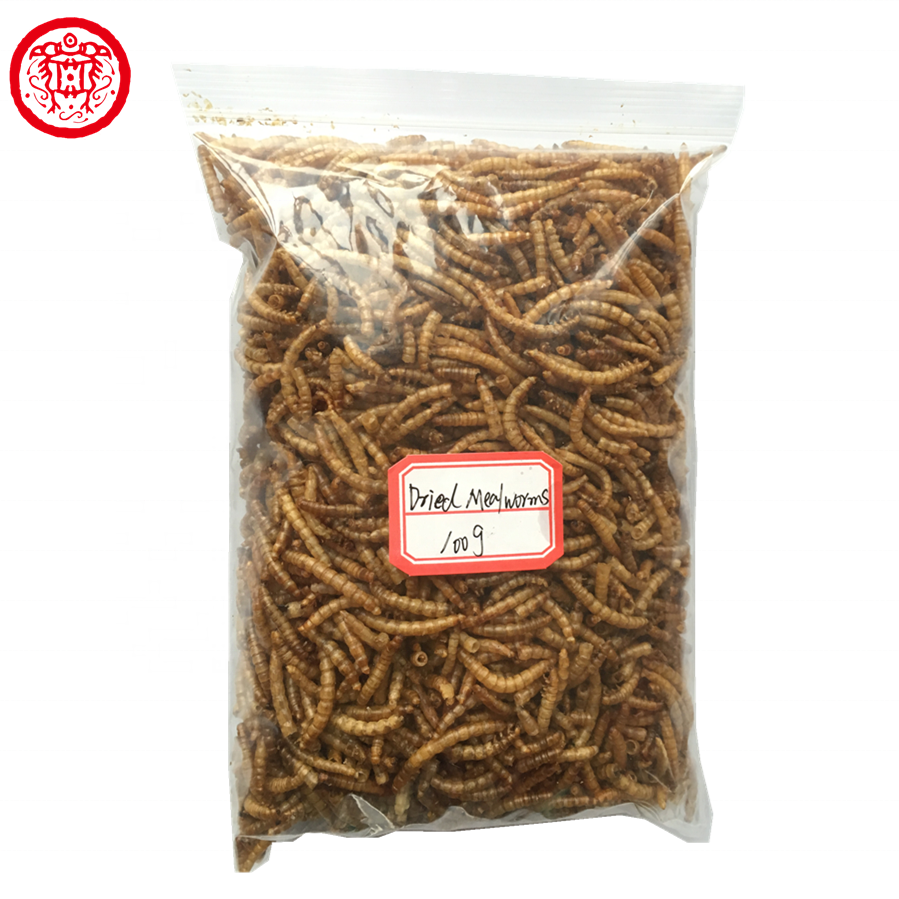 Fully stocked good quality fish bird snack food Natural Dried Mealworms animal feed