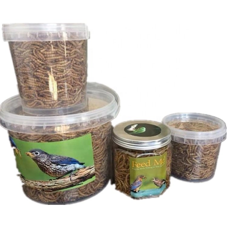 Fully stocked good quality fish bird snack food Natural Dried Mealworms animal feed