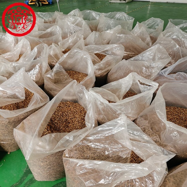 Fully stocked good quality fish bird snack food Natural Dried Mealworms animal feed