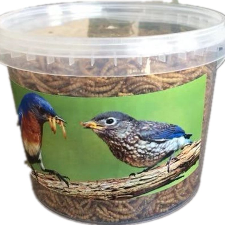 Fully stocked good quality fish bird snack food Natural Dried Mealworms animal feed