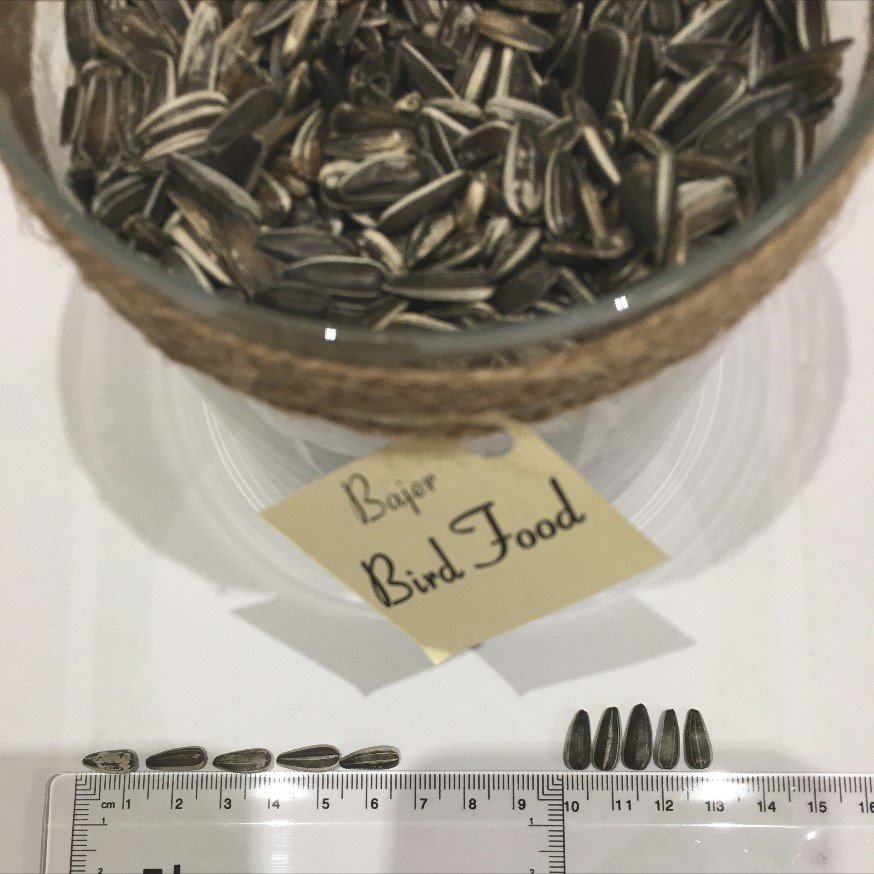 Bird Food Sunflower seeds BADJER animal Feed Bulgarian origin Top Quality Best Price Wholesales Packaging BRC IFS