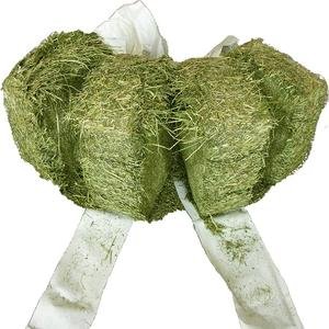 Organic Alfafa Hay Animal Feeding/Animal welfare Quality