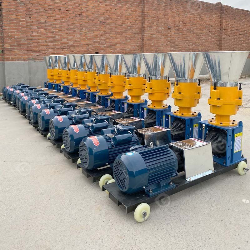 Pakistan Poultry Feed German Pellet Machine Production Equipment Household Animal Food Pelletizer