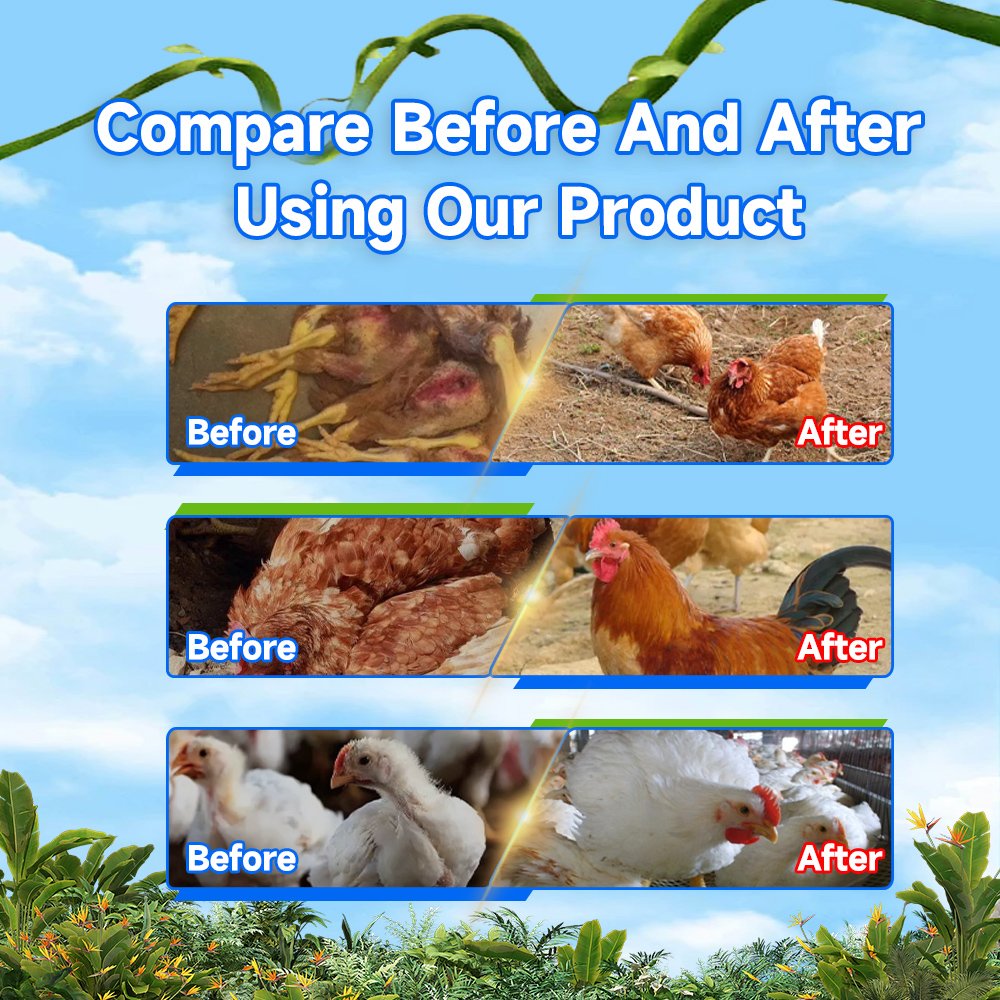 Feed grade amino acids supplement prices manufacturers in turkey for sale products in dubai animal feed additive