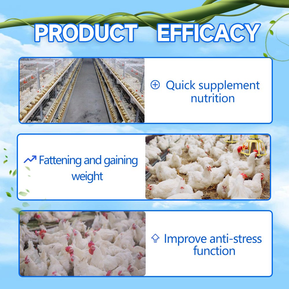 Feed grade amino acids supplement prices manufacturers in turkey for sale products in dubai animal feed additive