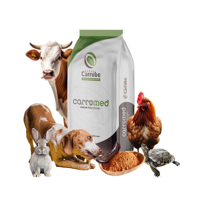 Wholesale Animal Feed 100% Natural Carob Flour Animal Consumption Extract Powder Gluten Free Zootechnical Use 25kg*bag