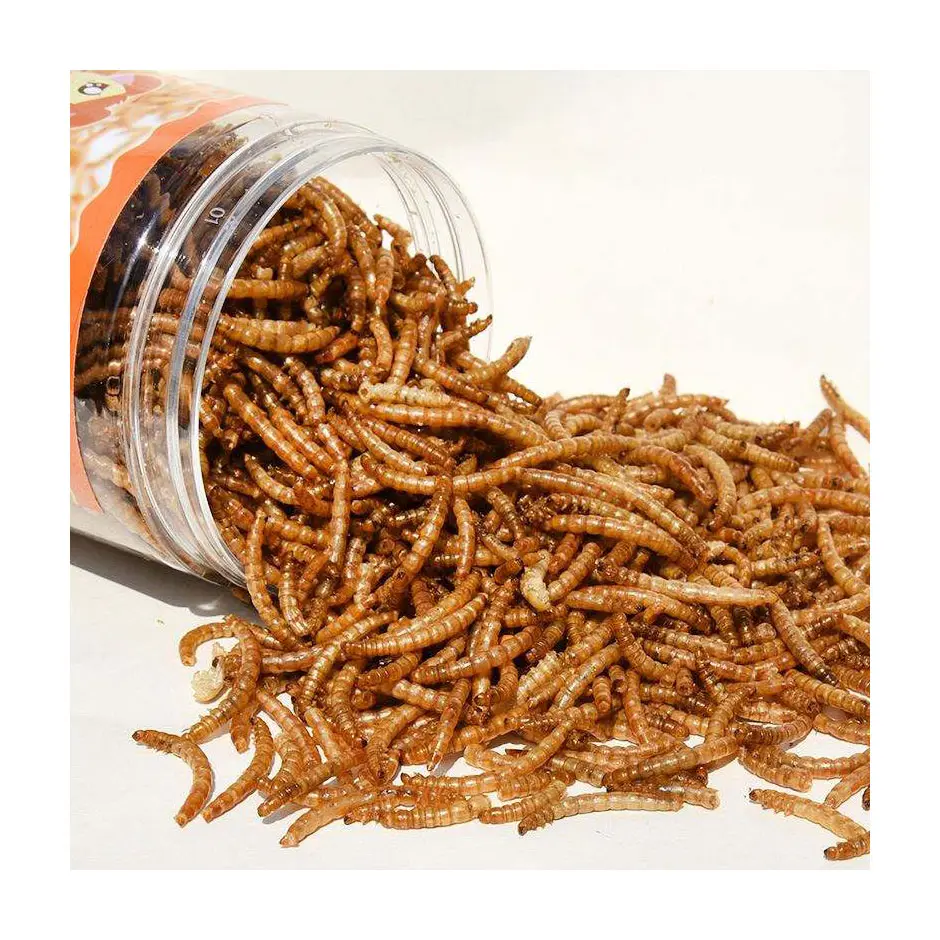 Mealworms dried for chicken poultry meal weight gain boost supplement