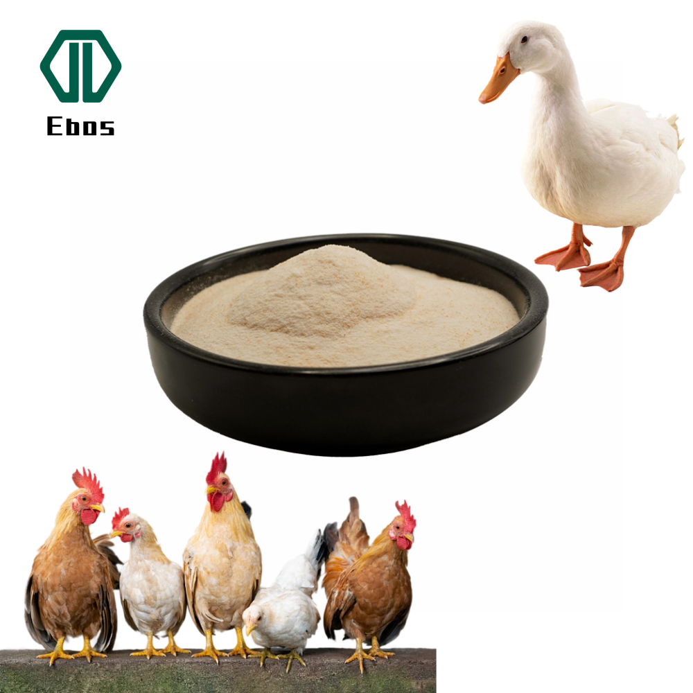 Poultry Use Brewers Yeast Feed Grade Dried Brewer Yeast Powder For Animal Feed