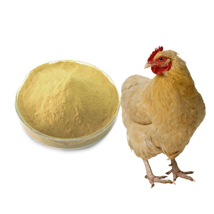 nutrition High Fiber pets livestock animal feed brewer yeast protein powder animal feed
