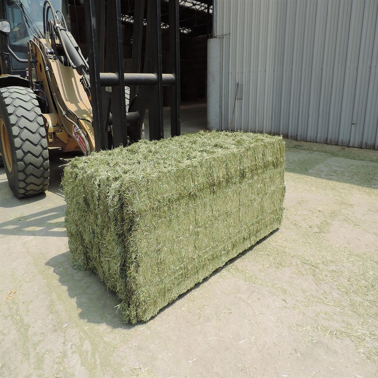 Alfafa Hay Dried Timothy Grass and Rhodes Grass Hay for Animal Feeding Baled Pig Cattle Horse Feed Various Styles Available