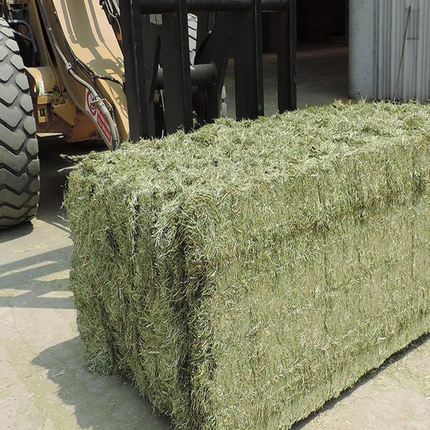 2024 Timothy Alfalfa Hay High Protein Animal Feed Excellent for Fish Dogs and Animals Wholesale Very Low Price