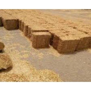 Best Quality wheat Straw For Animal Feed Export Quality Wheat Straw Bales / Wheat Straw Hay bales for sale/ Best Mark