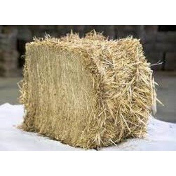 Best Quality wheat Straw For Animal Feed Export Quality Wheat Straw Bales / Wheat Straw Hay bales for sale/ Best Mark