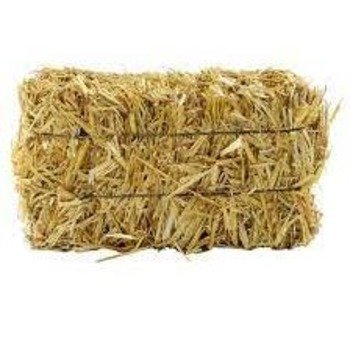 Best Quality wheat Straw For Animal Feed Export Quality Wheat Straw Bales / Wheat Straw Hay bales for sale/ Best Mark