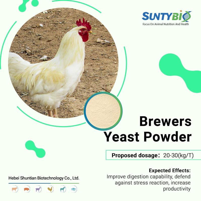New Arrival Animal Feed Nutrition Supplement Inactive Brewer's Yeast Powder