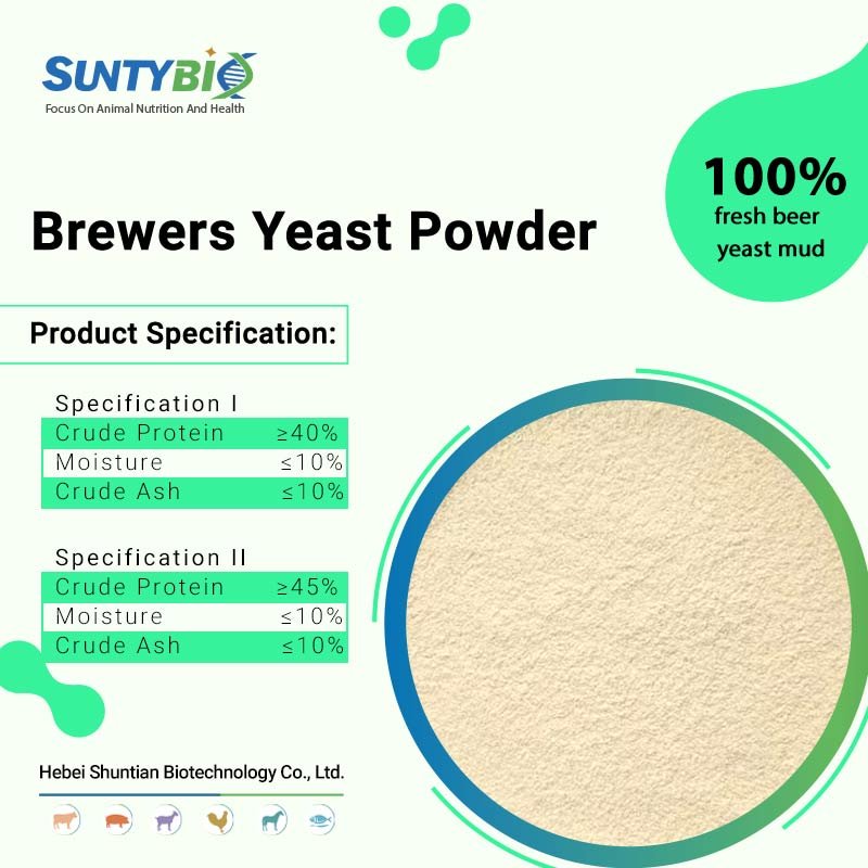 New Arrival Animal Feed Nutrition Supplement Inactive Brewer's Yeast Powder