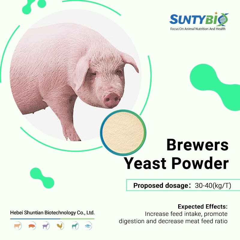 New Arrival Animal Feed Nutrition Supplement Inactive Brewer's Yeast Powder