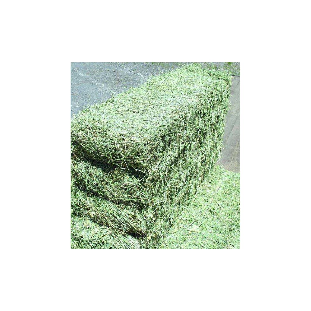 Buy Organic Alfalfa Grass Hay nAlfalfa Hay Pellets For Animal Feed For Sale Bulk UK