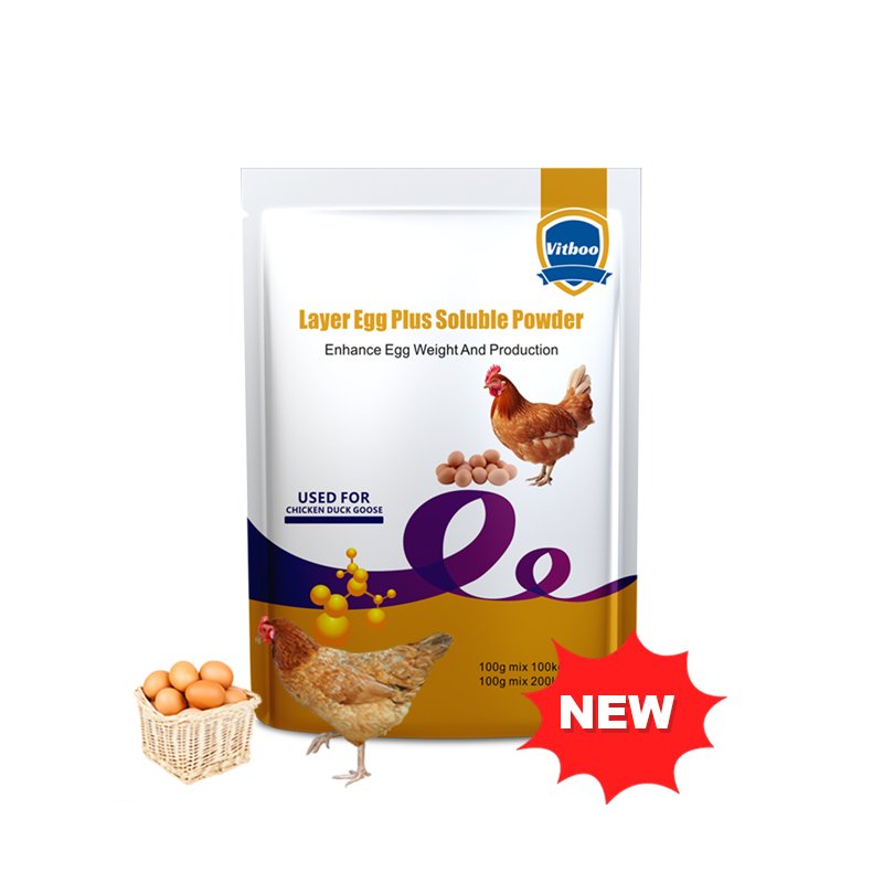 VITBOO Vitamin WSP supply vitamins water soluble powder poudre soluble dans l'eau de vitamines good effects on poultry
