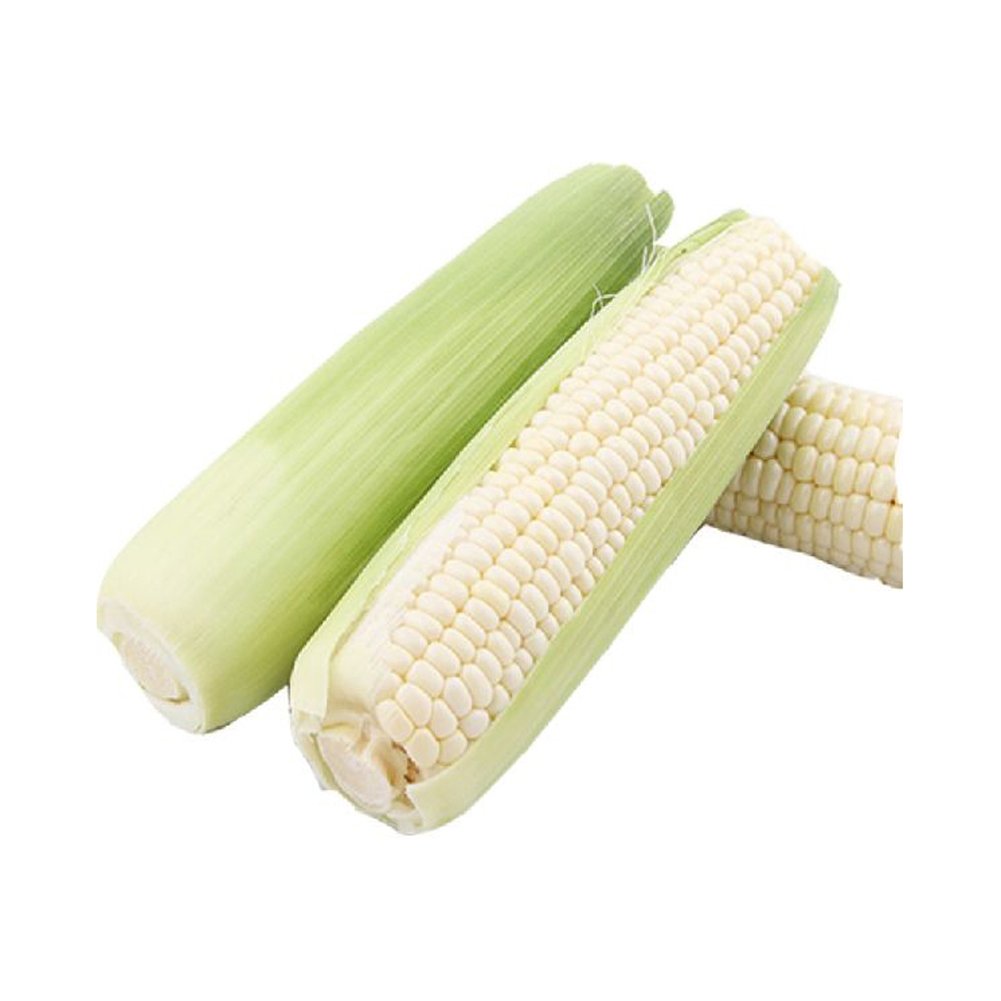 Dried Grade 2 White Maize/Corn Non-GMO Fit for Human Consumption and Animal Feed Origin Brazil Maize for
