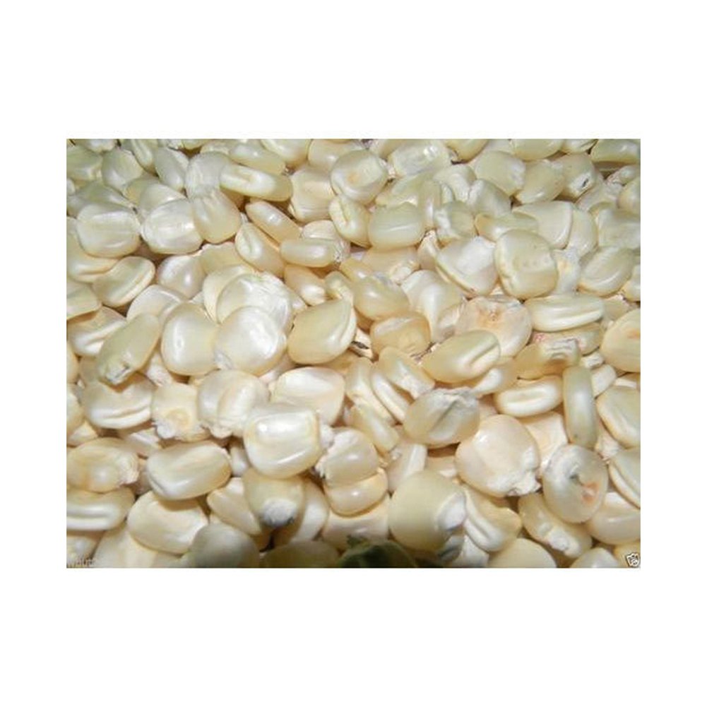 Dried Grade 2 White Maize/Corn Non-GMO Fit for Human Consumption and Animal Feed Origin Brazil Maize for