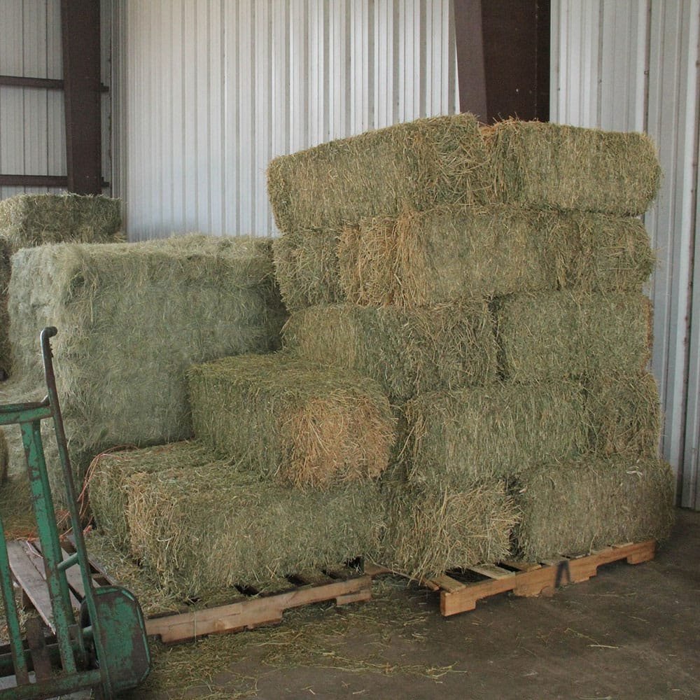 Dried Alfalfa Hay Pellets for Animal Feeding Timothy Hay in Bales