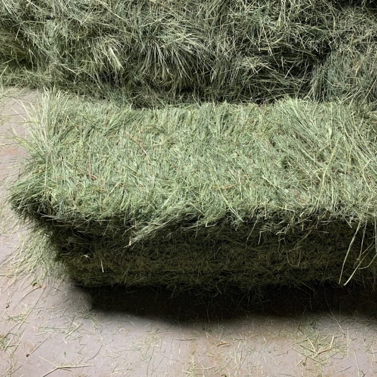Dried Alfalfa Hay Pellets for Animal Feeding Timothy Hay in Bales
