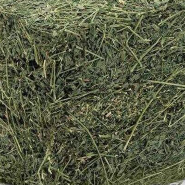 Dried Alfalfa Hay Pellets for Animal Feeding Timothy Hay in Bales