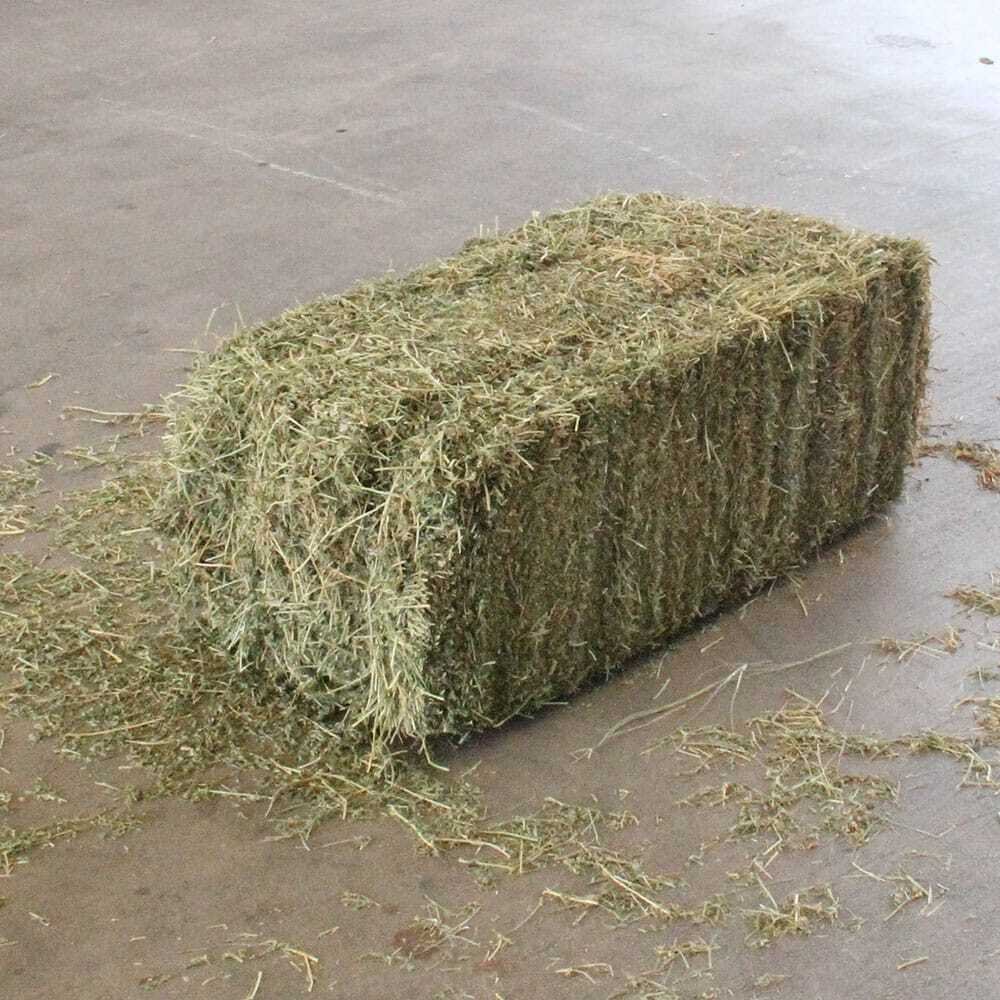 Dried Alfalfa Hay Pellets for Animal Feeding Timothy Hay in Bales