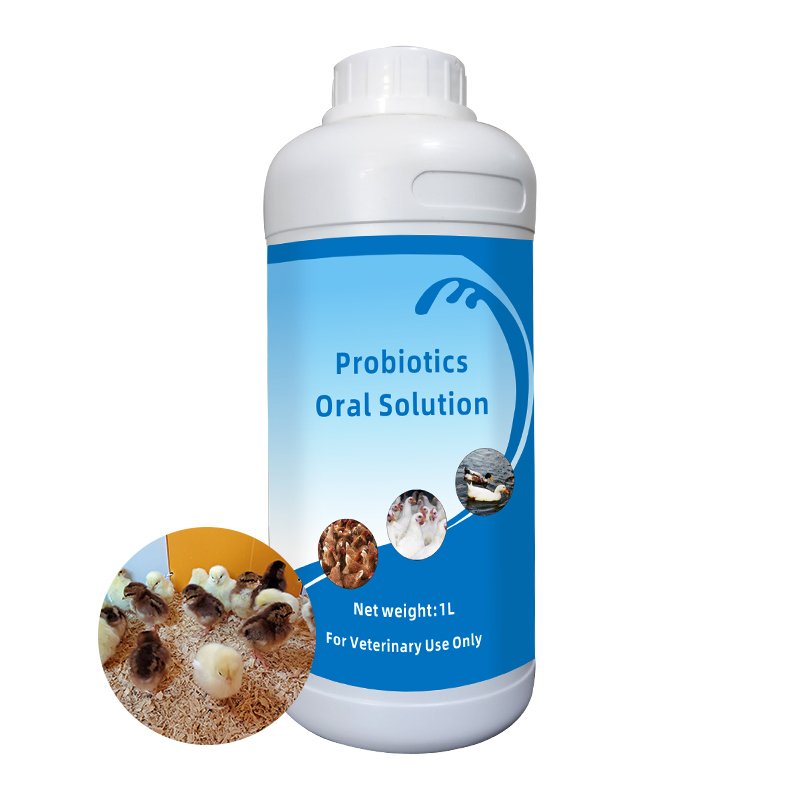 Private Label Balanced Animal Feed Supplement Probiotics Oral Solution Liquid for Poultry Livestock Support Digestive Health